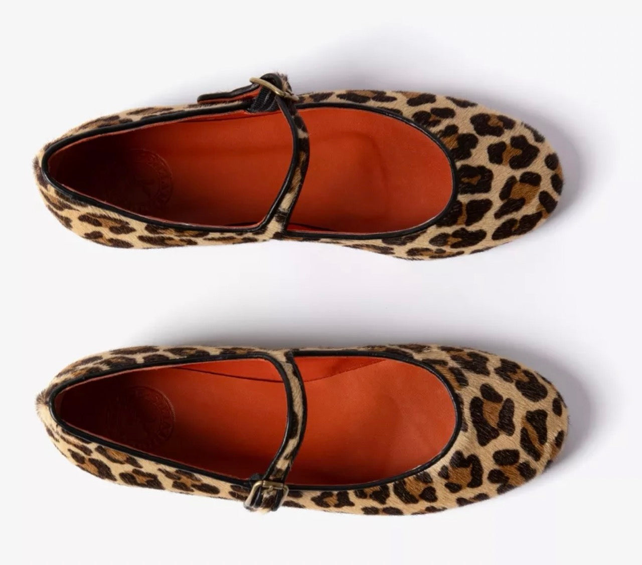 Penelope Chilvers Fay Leopard Mary Jane